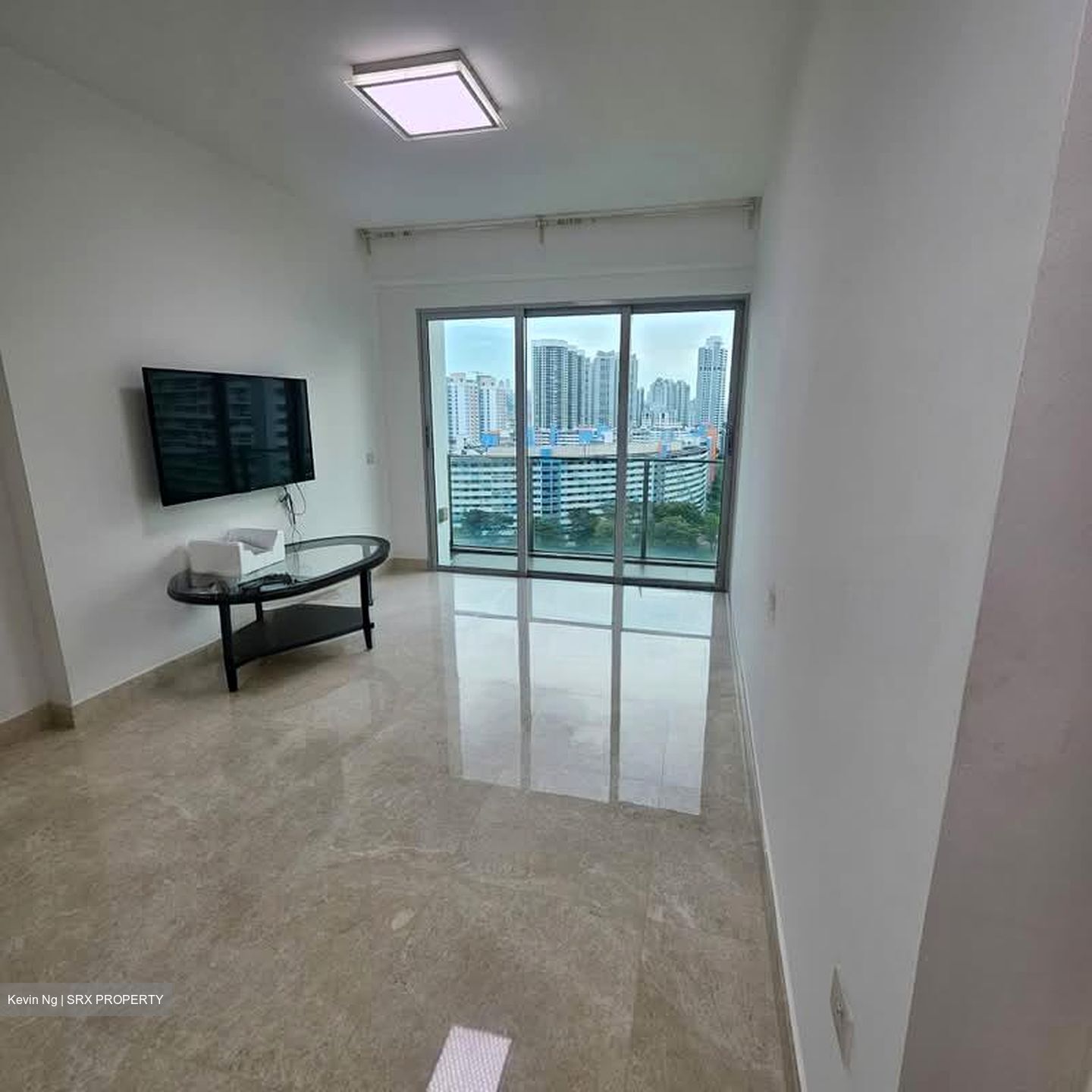 Eight Riversuites (D12), Condominium #587198411
